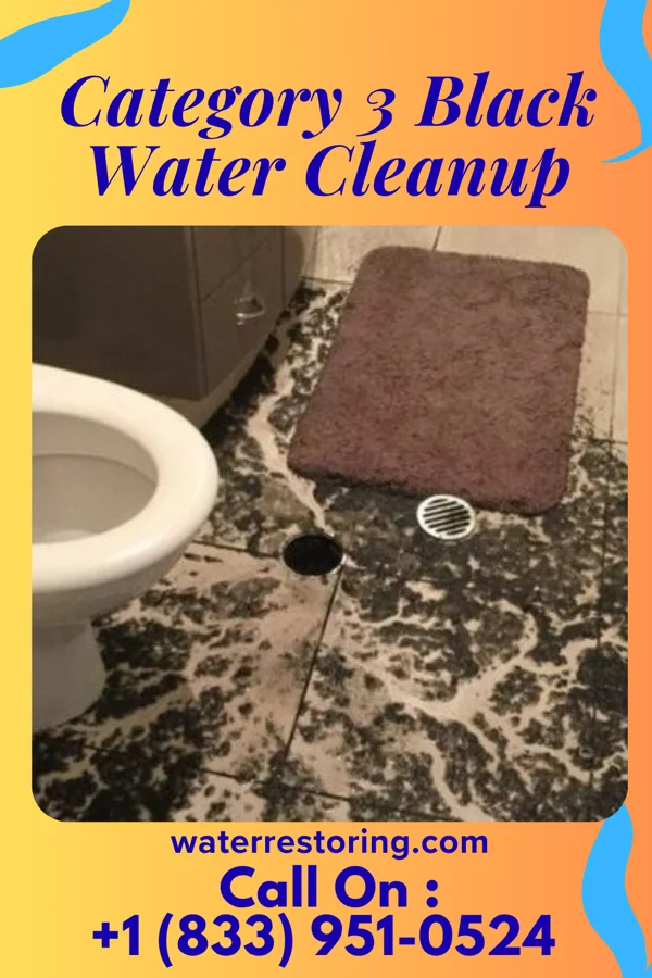 Category 3 Black Water Cleanup in Brownstown, PA