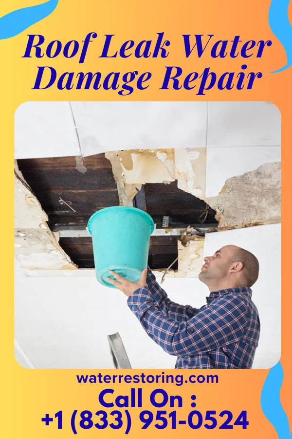 Roof Leak Water Damage Repair in Brownstown, PA