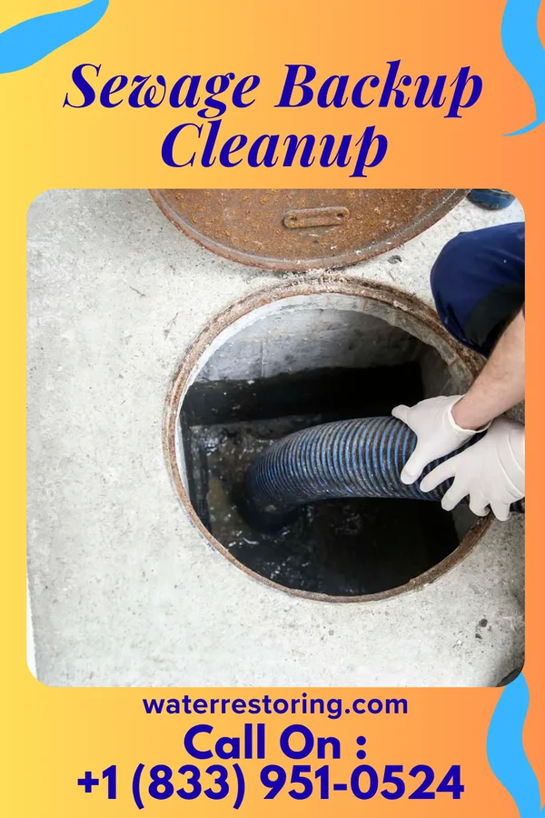Sewage Backup Cleanup in Brownstown, PA