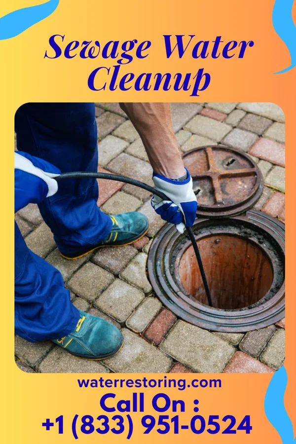 Sewage Water Cleanup in Brownstown, PA