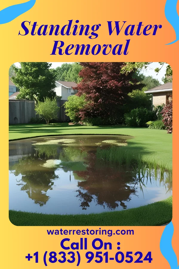 Standing Water Removal in Brownstown, PA